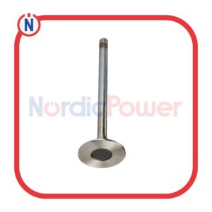 Exhaust valve-12319916 MWM Genuine/OEM