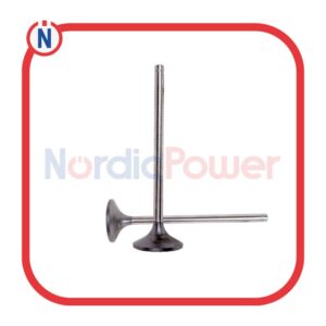 Inlet Valve-12454247 MWM Genuine/OEM