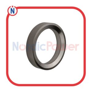 Valve Seat Insert Exhaust-12420810 MWM Genuine/OEM