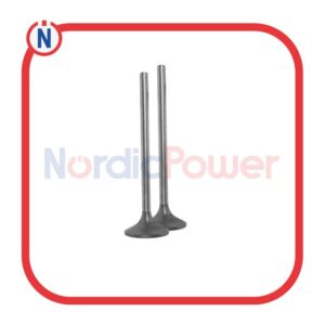 Inlet Valve-12454247 MWM Genuine/OEM