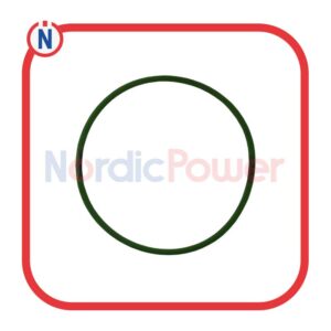 O-Seal-01176819 MWM Genuine/OEM